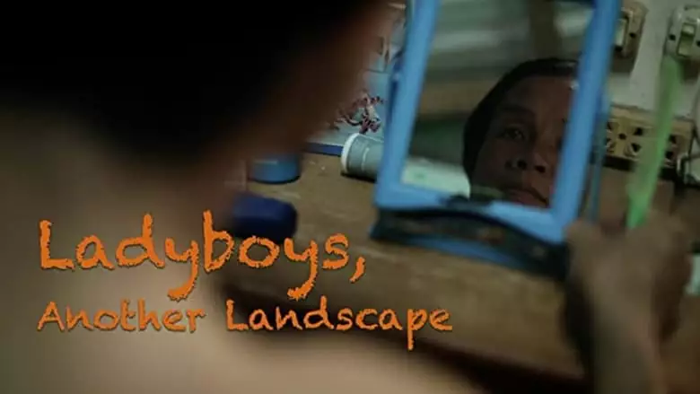 Ladyboys, Another Landscape (2017)
