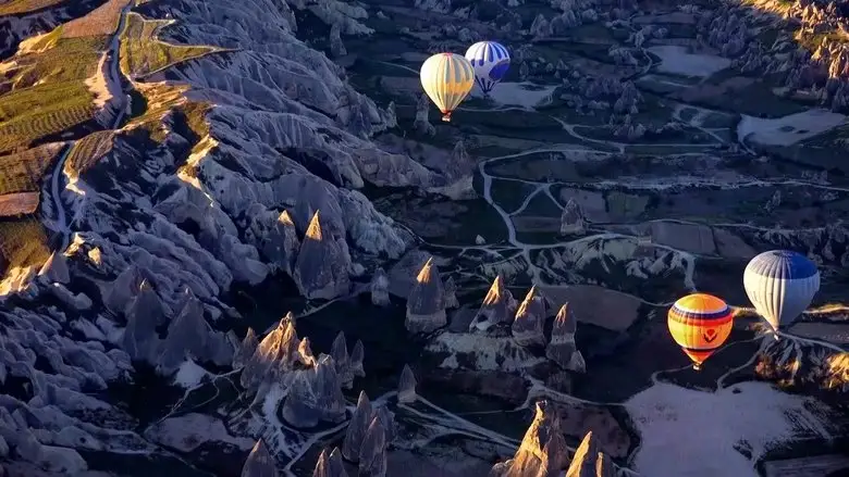 Hidden Turkey (2021)