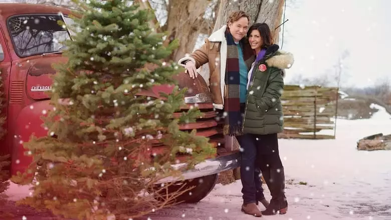 A Christmas Break (2020)