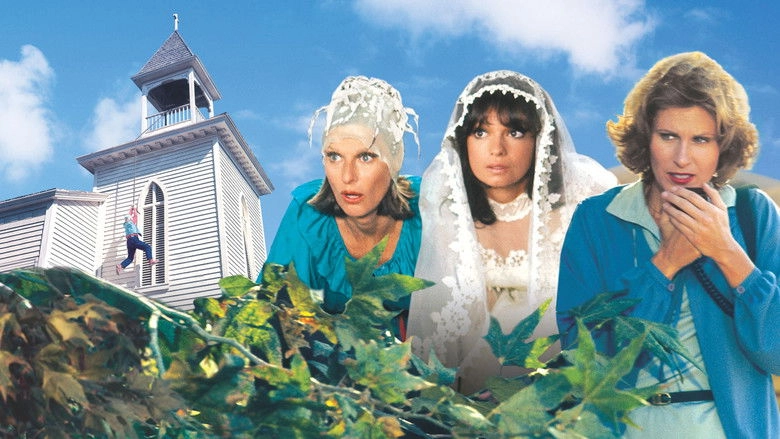 The North Avenue Irregulars (1979)