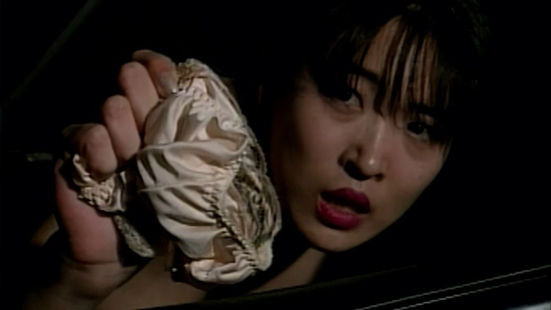 Terminatrix (1995)