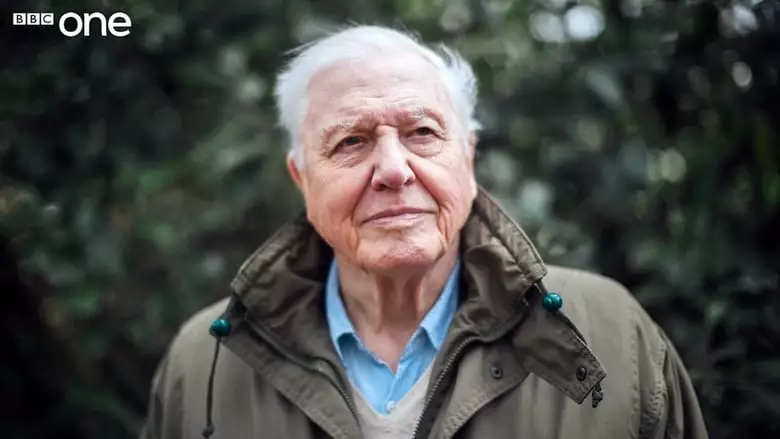 Extinction: The Facts (2020)