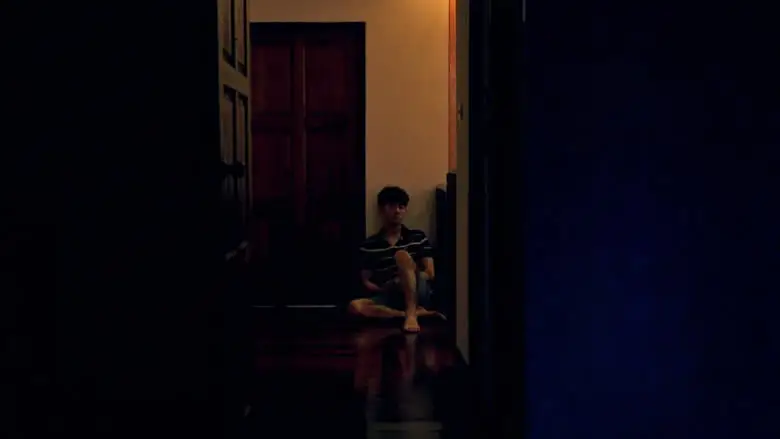 Tropical Night (2017)