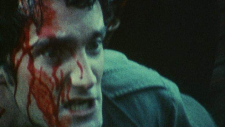 A Grin Without A Cat (1977)