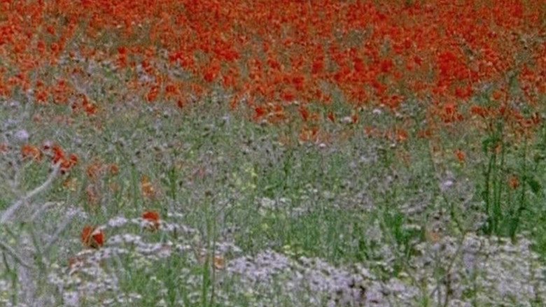 Hic Rosa, Partition Botanique (2007)