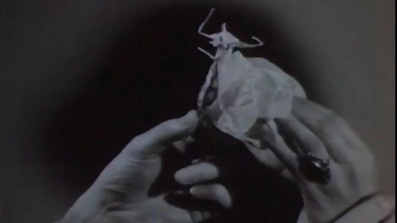 Expectation (1962)