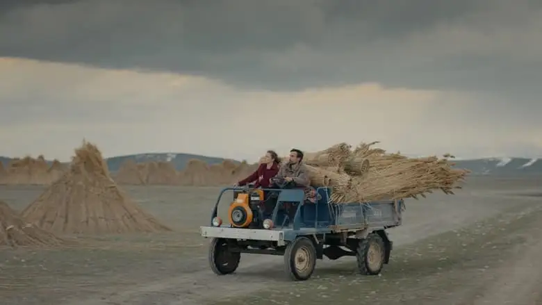 The Reeds (2025)