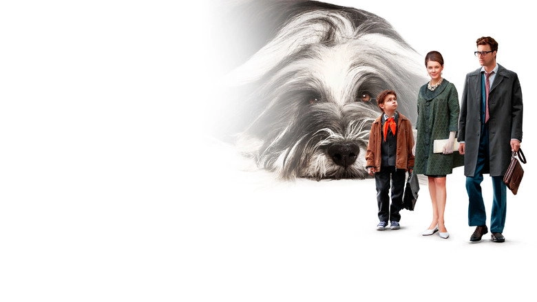 Kazhdyy Mechtaet O Sobake (2024)