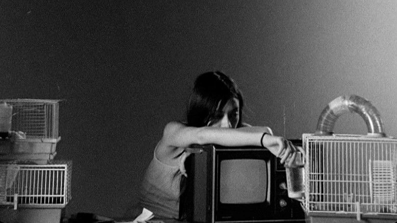 Letters To Paul Morrissey (2019)