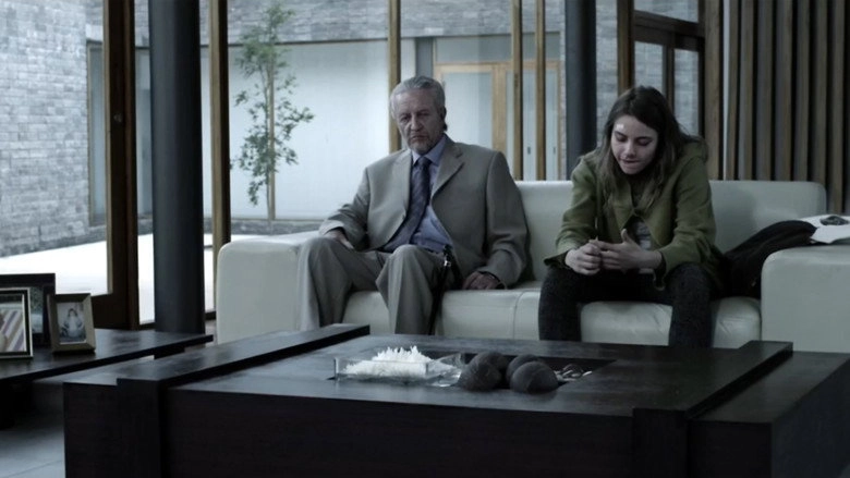 El Facilitador (2013)
