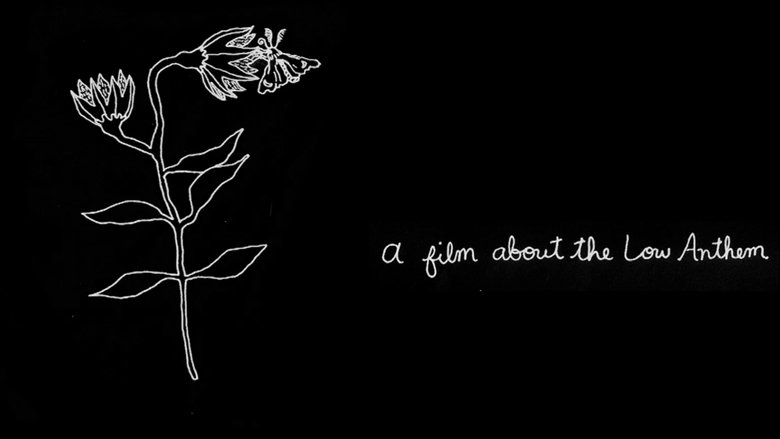Am I The Dream Or The Dreamer? A Film About The Low Anthem (2017)