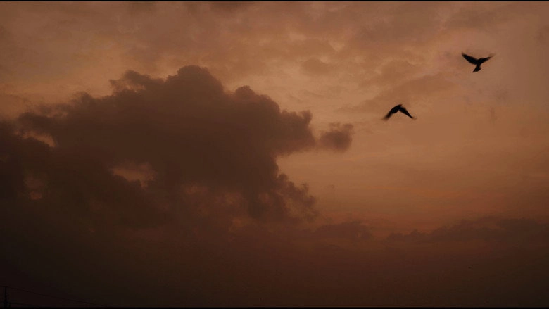 Lighthouse (2024)