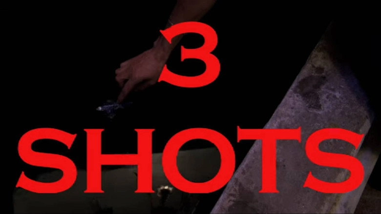 3 Shots (2011)