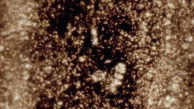Instabile Materie (1995)