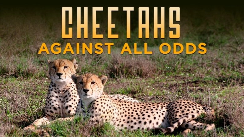 Cheetahs: Against All Odds (2009)
