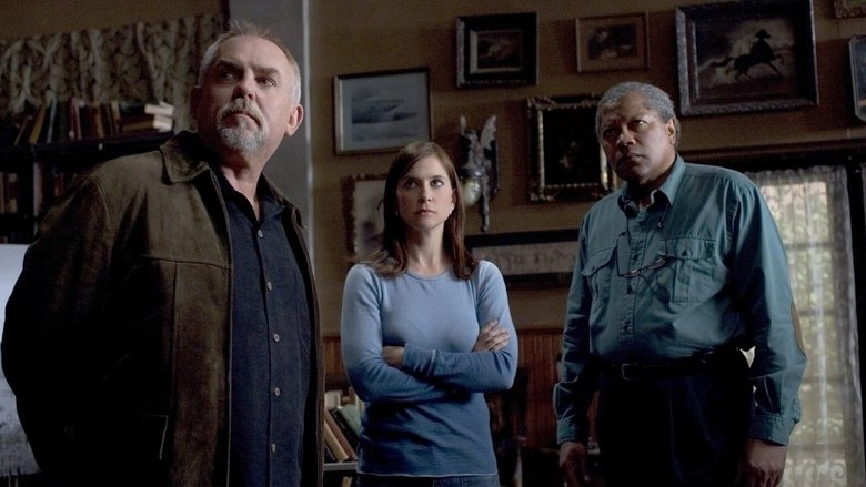 Mystery Woman: Redemption (2006)