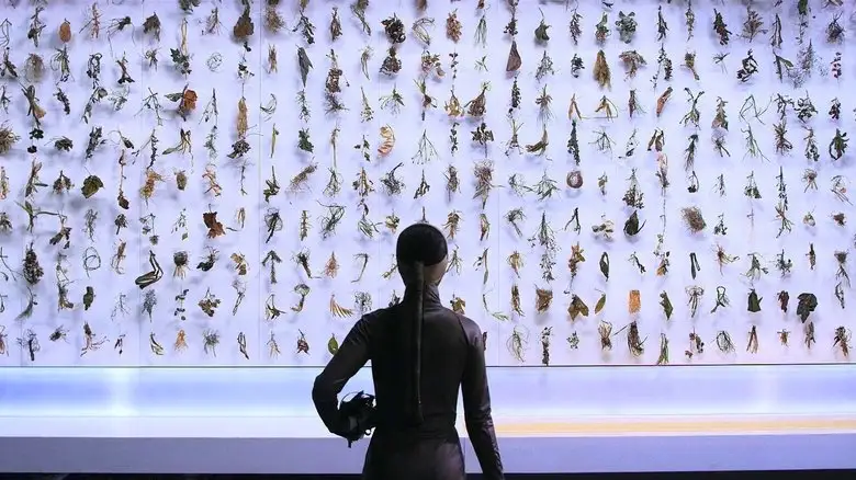 El Fin Del Mundo (2012)