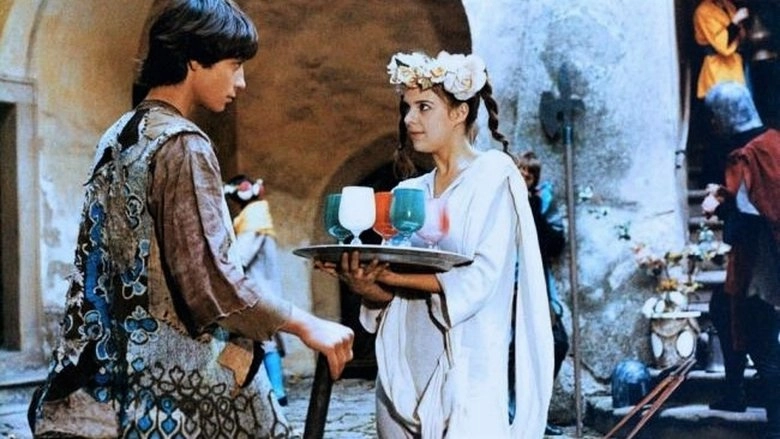 O Statecnem Kovari (1984)