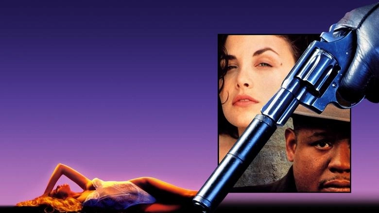 Diary Of A Hitman (1991)