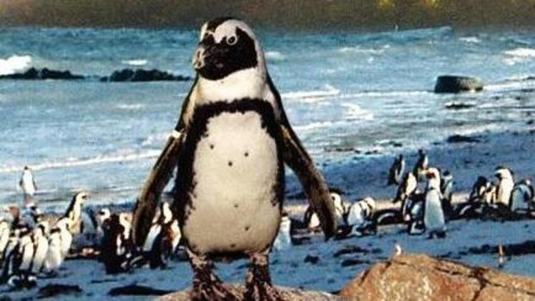 On The Wings Of Penguins (2009)