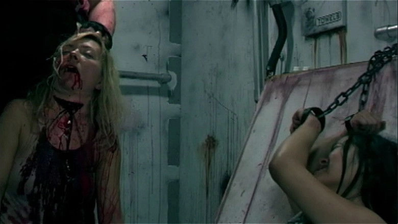 Spaceship Terror (2011)