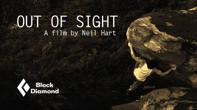 Out Of Sight (2013)