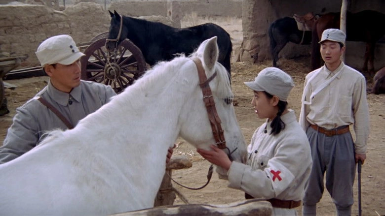 A White Horse Named Feifei (1996)