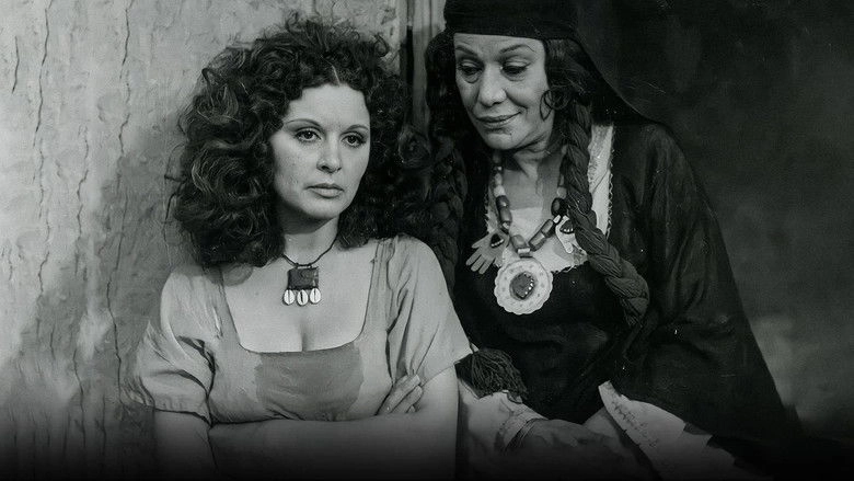 Shafika And Metwali (1978)