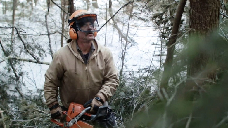Bob And The Trees (2015)