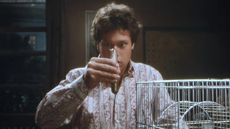 The Invisible Kid (1988)
