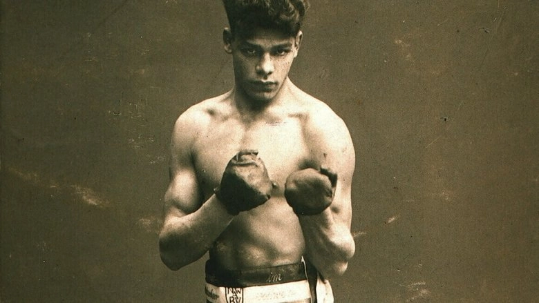 Gibsy - Rukeli Trollmanns Kampf Ums Leben (2014)