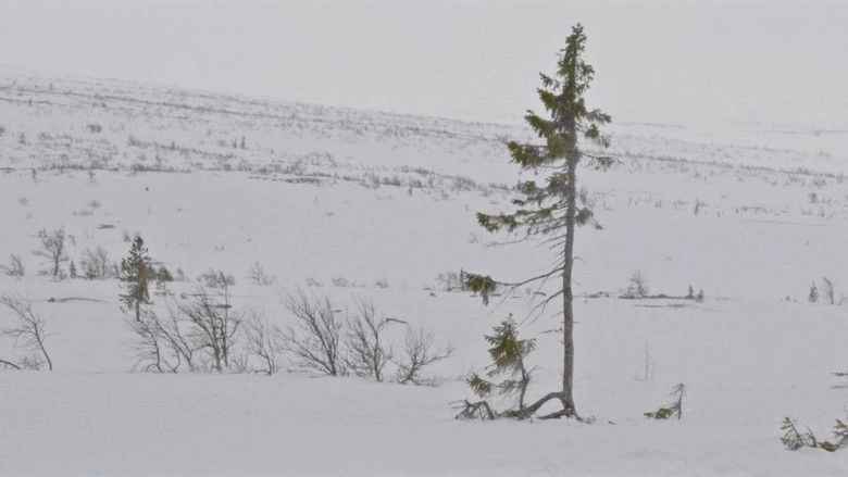 A Tree Is A Tree (2026)