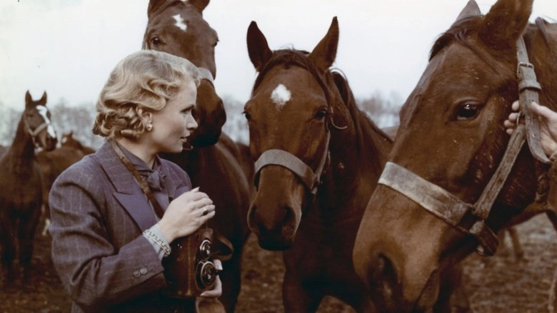 Wherever You Are... (1988)