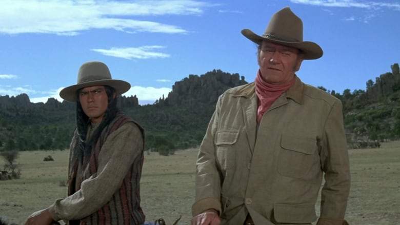 The Undefeated (1969)