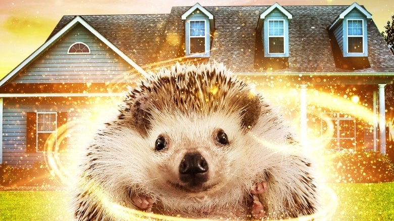 Andy The Talking Hedgehog (2018)