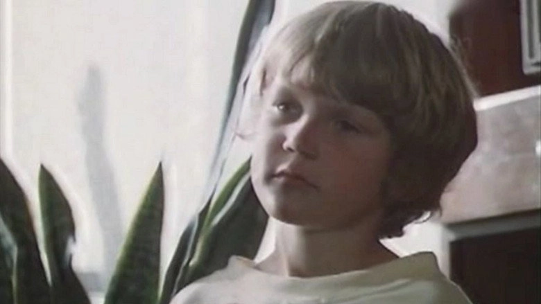 Saulessvece (1986)