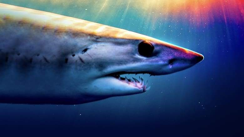 Shark Superpower (2022)