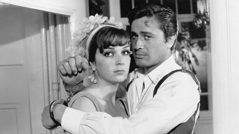 Yakut Gozlu Kedi (1966)