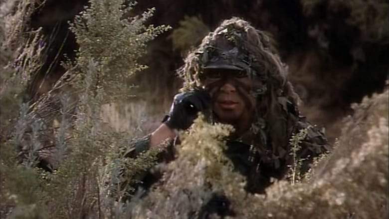 T.N.T. (1998)