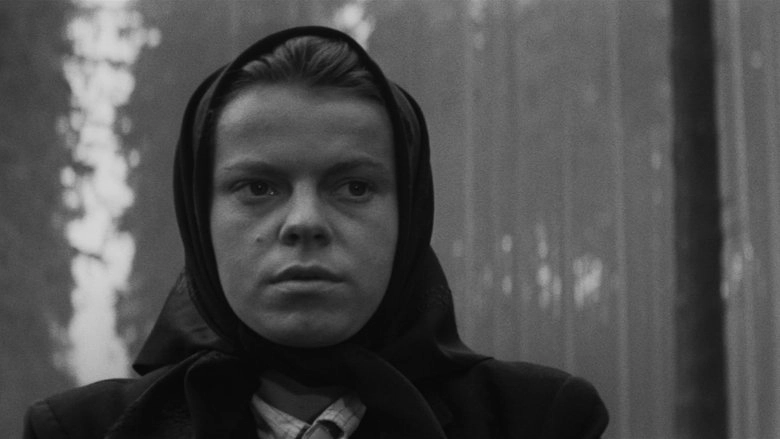 Carriage To Vienna (1966)