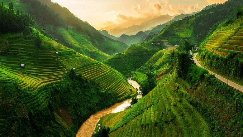 Abenteuer Vietnam (2020)