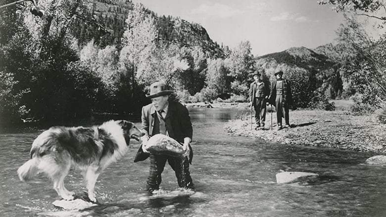 Hills Of Home (1948)