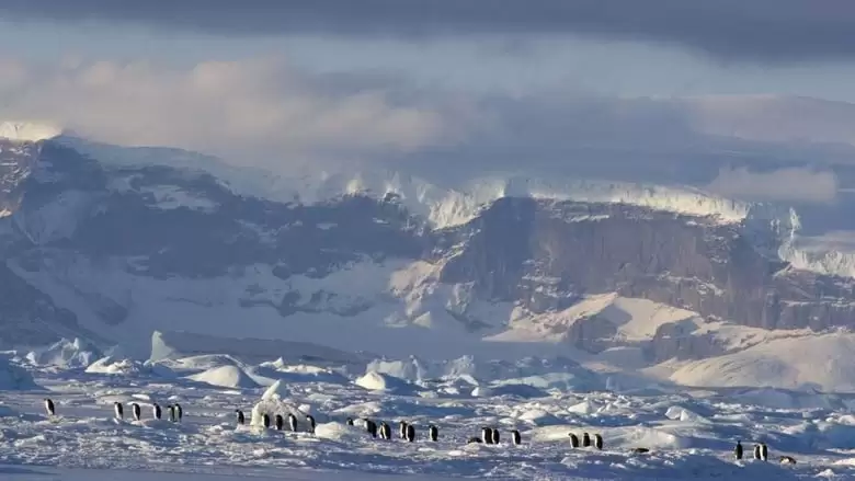March Of The Penguins 2: The Next Step (2017)