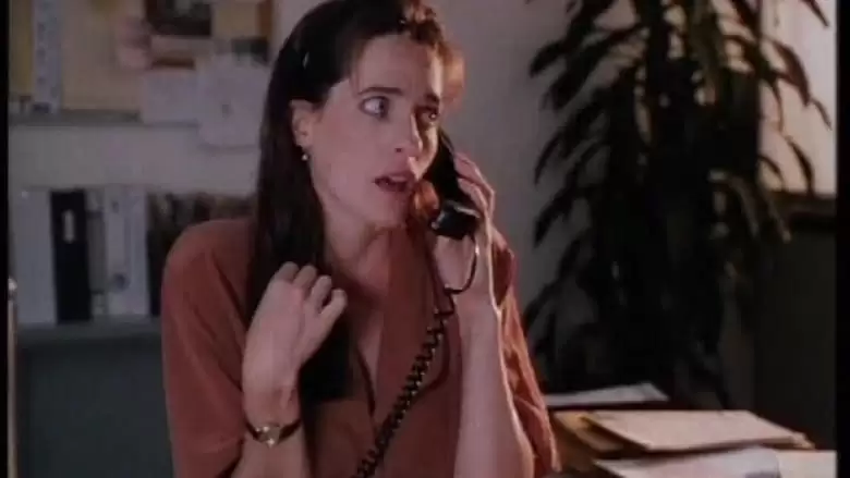 The Secretary (1995)