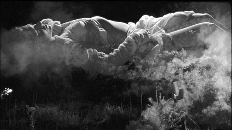 Boro In The Box (2014)