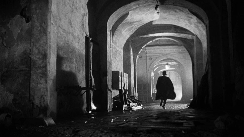 The Third Man: A Filmmaker's Influence (2015)