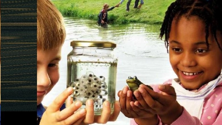 Frogs And Toads (2009)