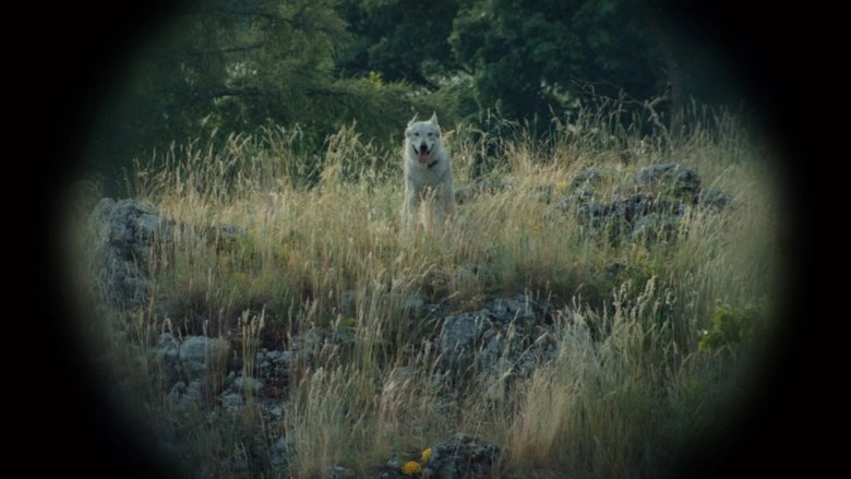 Das Auenhaus/The House Of Meadows (2025)