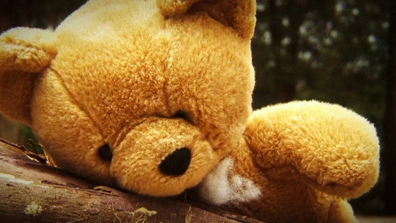 Bob (2009)