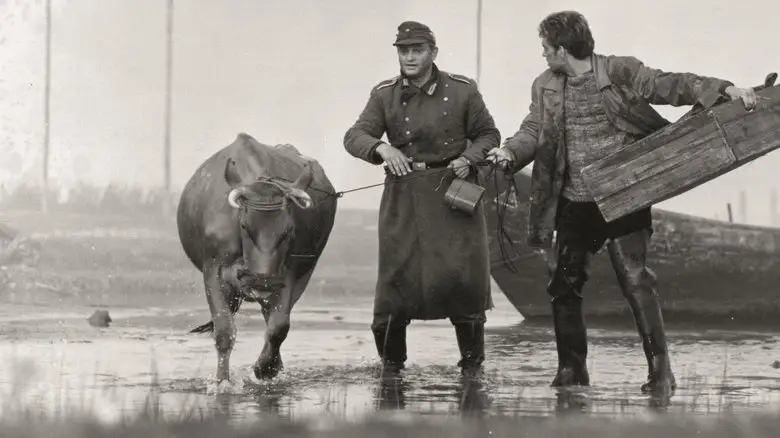 Feelings (1968)